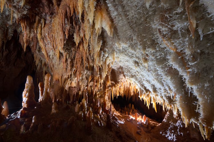Semaine 23: Le Palais de Glace